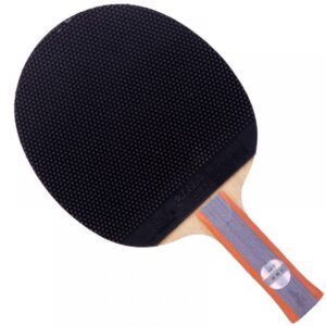 Ракетка для настільного тенісу DHS R6003