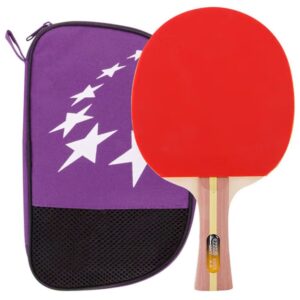 Ракетка для настільного тенісу DHS H2002