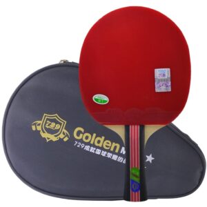 Ракетка для настільного тенісу 729 FS Gold 2 Star