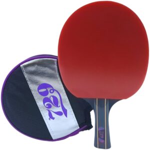 Ракетка для настільного тенісу 729 SP-7281